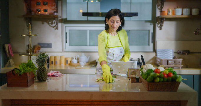 Indian gen x mature adult mom wear apron and hand gloves collect pick up waste trash in box use rag. Middle aged woman lady do work use rag wiping dust on table keep modern kitchen neat clean tidy