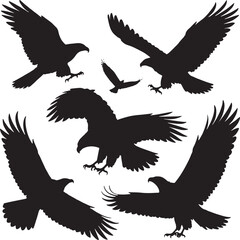 eagle vector illustration