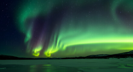 Aurora Borealis Night Sky Display