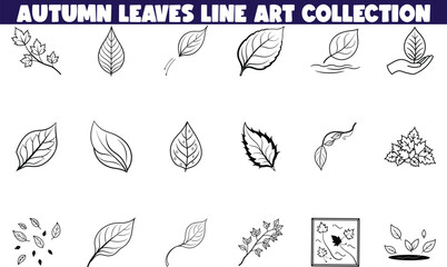 Autumn Leaves Line Art Collection Elegant Fall Foliage Designs