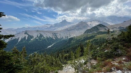 cloudy skies over pine trees forest in the Glacier Basin camp area on mount rainier national park