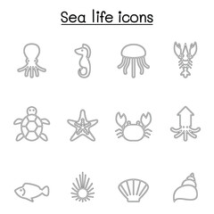 Sea life icon in thin line style icon set