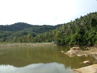 Tranquil River Scene with Coconut Trees and Hills Reflected in Still Waters