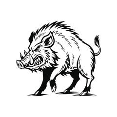 Angry wild boar vector illustration, hand drawn style, monochrome design, detailed vector, isolated on a white background