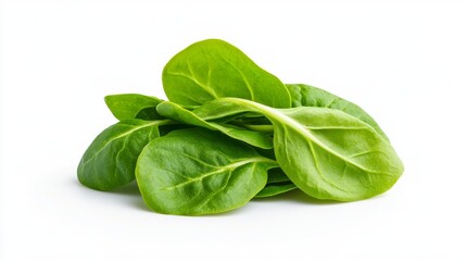 Fresh spinach leaves on a white background