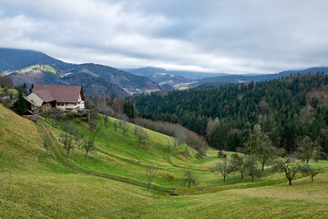 Picturesque Black Forest Winter Landscape with Traditional German Farmhouse and Meandering Stream in Snow Covered Valley. Idyllic Rural Scene Showcases Iconic Alpine Architecture Evergreen Trees 