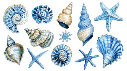 PNG watercolor seashell and starfish collection, hand painted marine illustration with ocean inspired elements in blue and beige tones