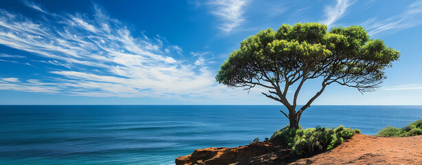 Obraz premium Serene Tree on Coastal Cliff: A solitary tree stands gracefully on the edge of a rugged cliff overlooking a vast, azure ocean under a bright, cloud-streaked sky.