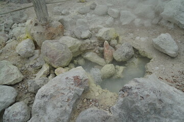 A hot spring emerges from the ground
