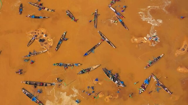 Aerial view of boats