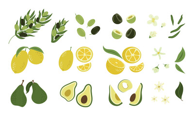 A set of fruits and vegetables, whole and sliced with flowers and leaves. Olives, avocado, lemon. Vector design.