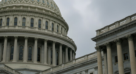 Fototapeta premium Neoclassical Architecture Majestic Buildings Gray White