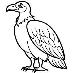 Clean and Modern Vulture Line Drawing