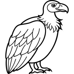 Clean and Modern Vulture Line Drawing