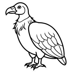 Clean and Modern Vulture Line Drawing