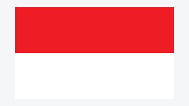 INDONESIA Flag with Original color