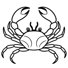 Clean and Stylish Crab Line Art