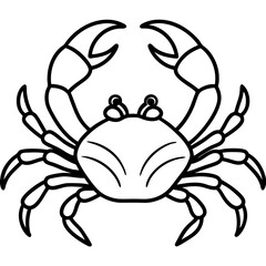Clean and Stylish Crab Line Art