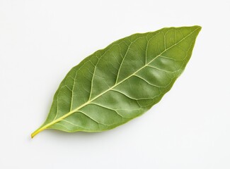 Obraz premium Isolated Bay Leaf Close-up on White Background Food Seasoning Herb