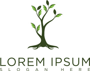 Obraz premium Abstract vibrant tree logo design, root vector - Tree of life logo design inspiration isolated on white background. 