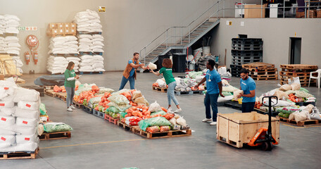 People, volunteer and help with food distribution for grocery donation, sorting vegetables and...
