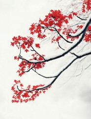 Red Maple Leaves and Snowy Branch Contrast on Winter Day