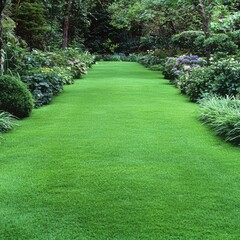 Lush green pathway bordered by vibrant foliage, creating a serene and inviting outdoor space.
