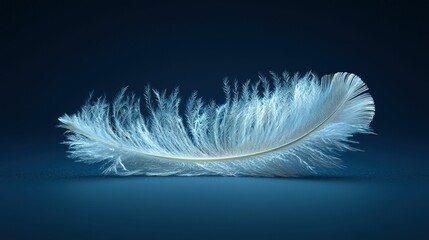 Single white feather, dark blue backdrop, delicate beauty