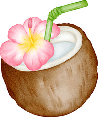 watercolor coconut