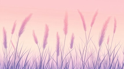 Fototapeta premium Pastel Sunset Grass with Meadow, Nature Background, and Serene.