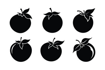 Medlar – Mespilus germanica silhouette vector illustration