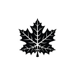 maple leaf vector