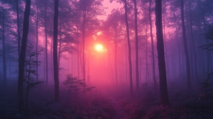 Fototapeta premium forest in dawn with a sky that is going from purple to blue