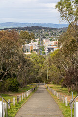 Elevated view of Albury town from Monument Hill with lush foliage in New South Wales, Australia