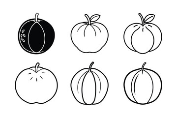 Monkey Bread Fruit – Adansonia digitata line art vector illustration