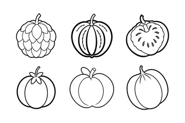 Monkey Bread Fruit – Adansonia digitata line art vector illustration