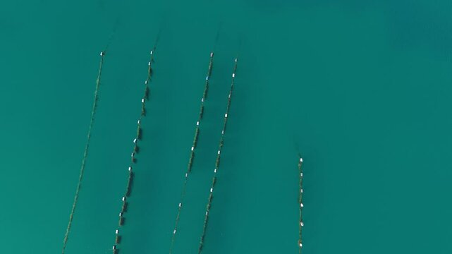 Oyster farm. Nature sea backdrop with a bay between continental Croatia and the Pelje&scaron;ac Peninsula in the Dalmatia Region