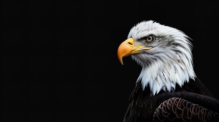 Fototapeta premium An image of a North American Bald Eagle, Generative AI.
