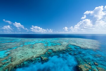 Plunge into a gorgeous film tribute to the noble brilliance and natural importance of Great Barrier Reef unveiling a spellbinding array of vibrant coral patterns and critical guard need  
