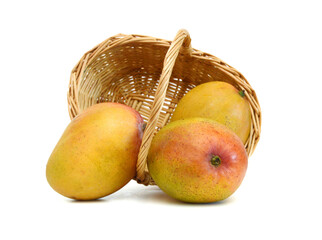 Mango fruit isolated on white background