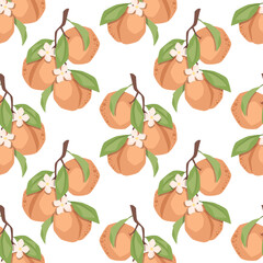 Vector seamless pattern with peach branches on white background