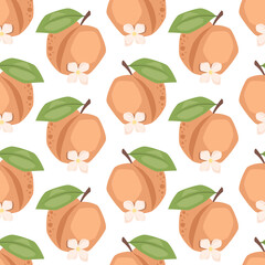 Vector seamless pattern with peaches on white background