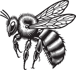 honey bee, bee, design, nature, insect, logotype, art, honey, illustration, animal