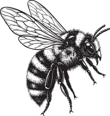 honey bee, bee, design, nature, insect, logotype, art, honey, illustration, animal