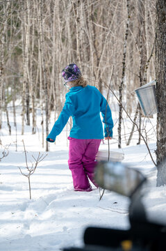 A child in vibrant winter gear walks through a snow-covered forest, collecting maple sap from metal buckets attached to trees.