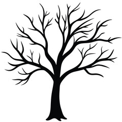 Obraz premium silhouette of tree