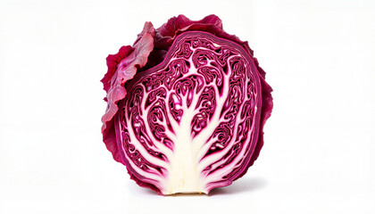 Obraz premium Vibrant red cabbage with tree-like structure, fresh and healthy, on white background, culinary beauty