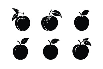 Nectarine – Prunus persica var. nucipersica silhouette vecctor illustration