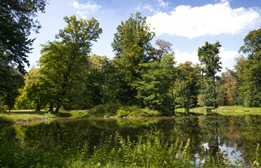 Fototapeta premium Park with green trees and a pond. Reflections of trees on the water surface. Park on a sunny summer day. Quiet place in the park without people.