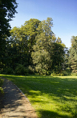 Stone walkway in the park. Park on a sunny summer day. Park with a stone walkway. Trees and grass illuminated by the sun's rays. Park without people.